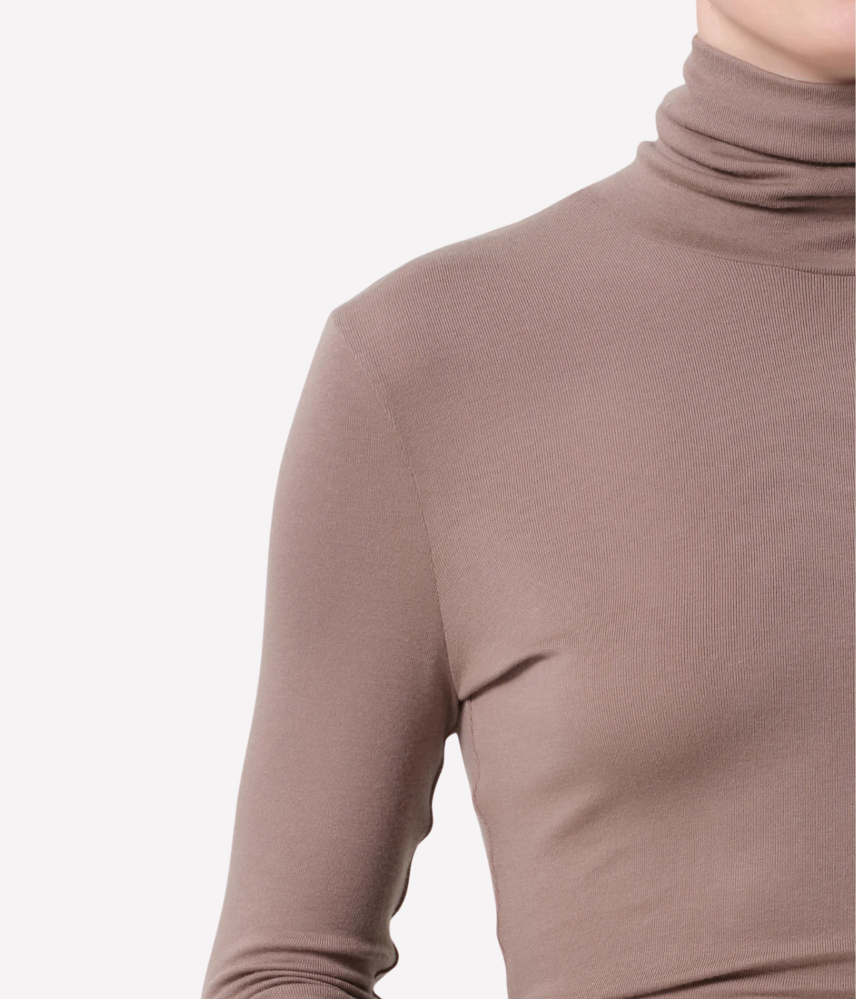 Caradene Turtleneck In Cocoa