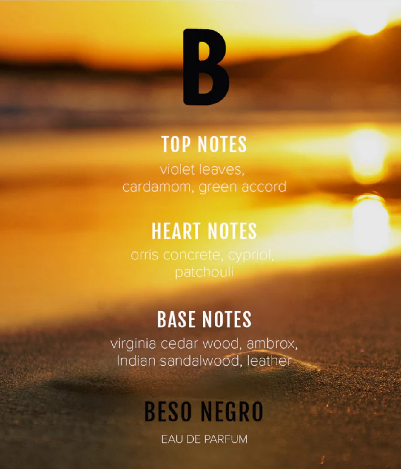 Beso Beach Negro Parfum