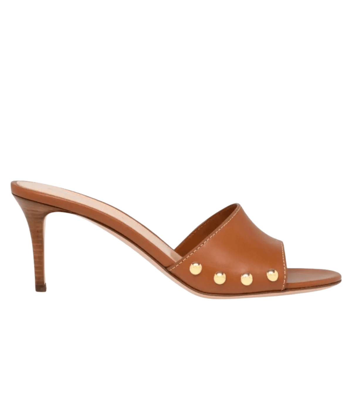 Avelin Mule in Sedona