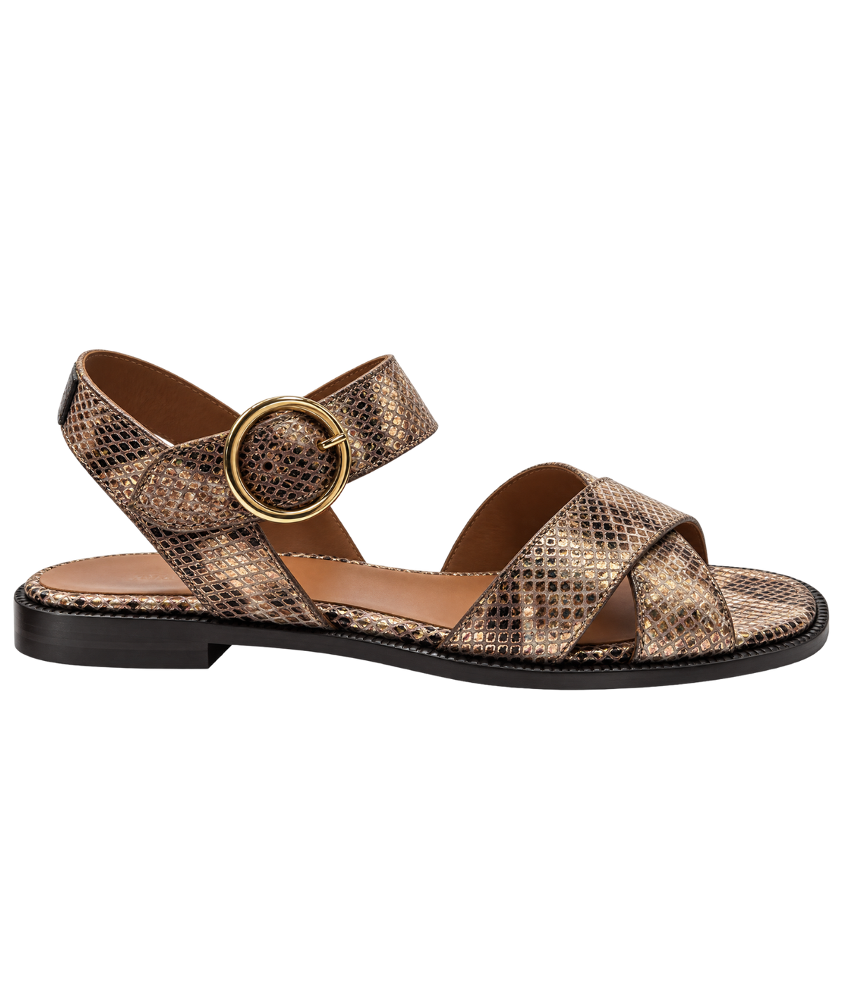 A single women's flat sandal with a snakeskin pattern in brown and beige, featuring a wide crisscross front strap, a slingback strap with a gold-tone circular buckle, and a low black heel, Anthology Paris Reims Sandal in Zadar Z4030