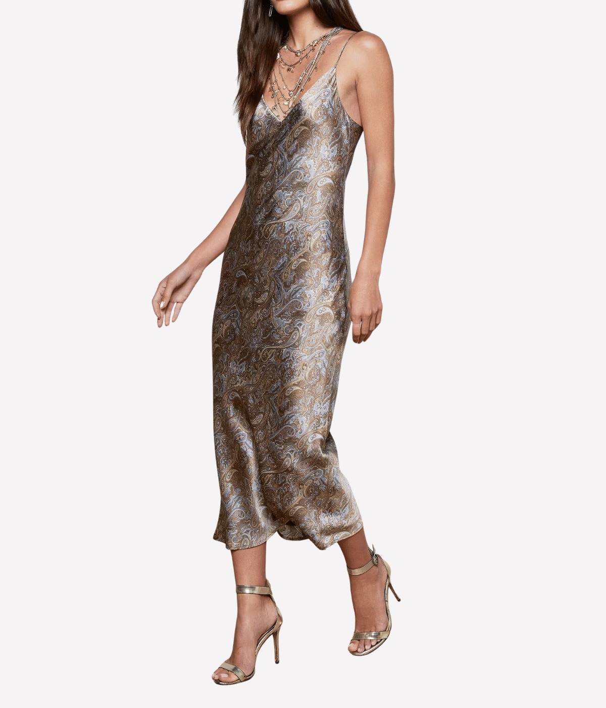 Seridie Midi Dress in Neutral Blue Paisley