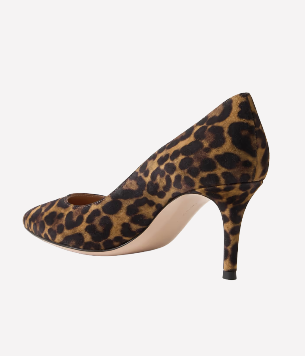 Gianvito 70 in Almond Leopard
