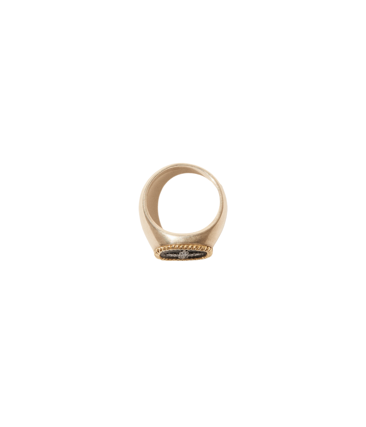 Side view of the Pascale Monvoisin Bowie Black Diamond Ring, showing the polished gold band rising to the black signet face