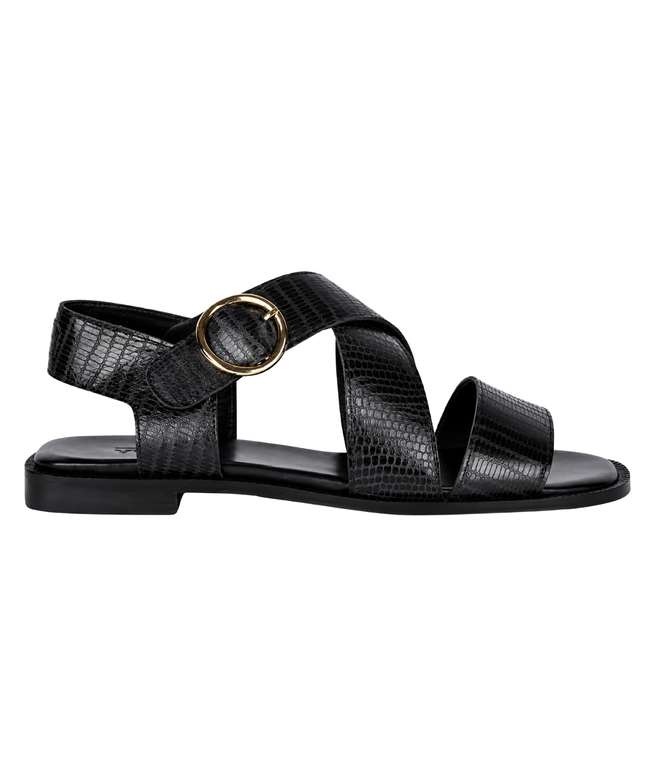 black anthology paris sandal with thick straps and large gold buckle