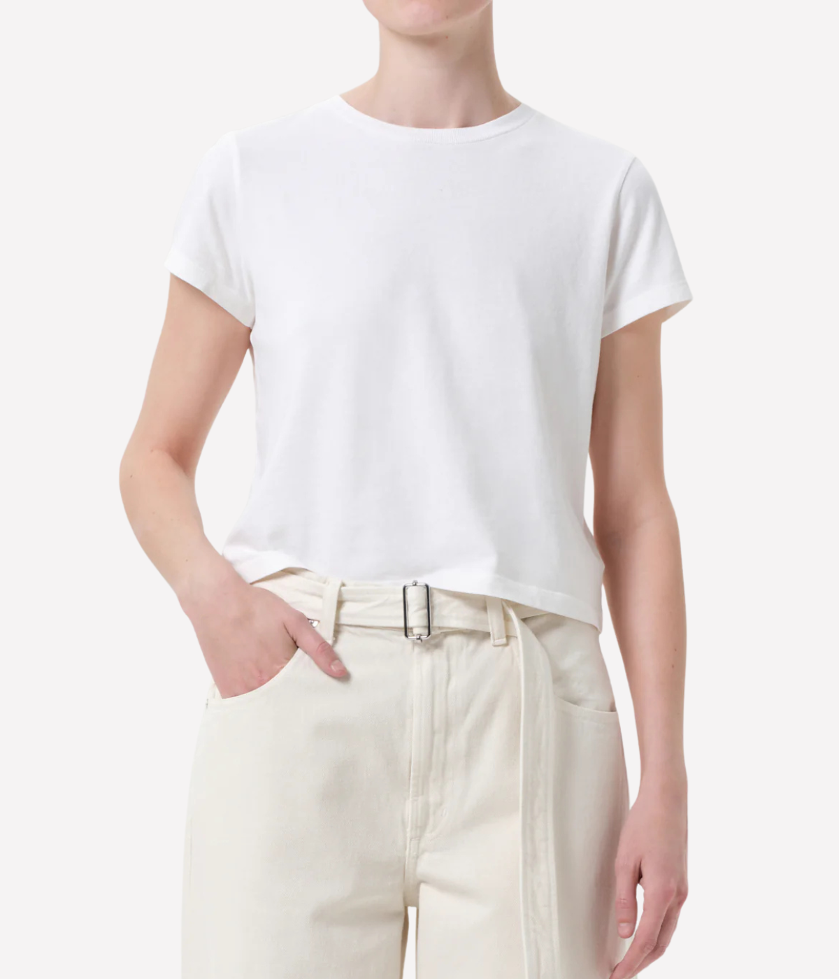 Adine Shrunken Tee Tshirt in White Ash