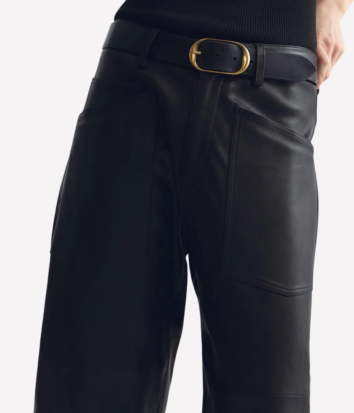 Shon Leather Pant in Black