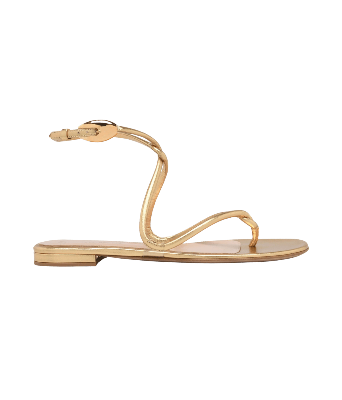 Jungle Mamba Flat in Mekong