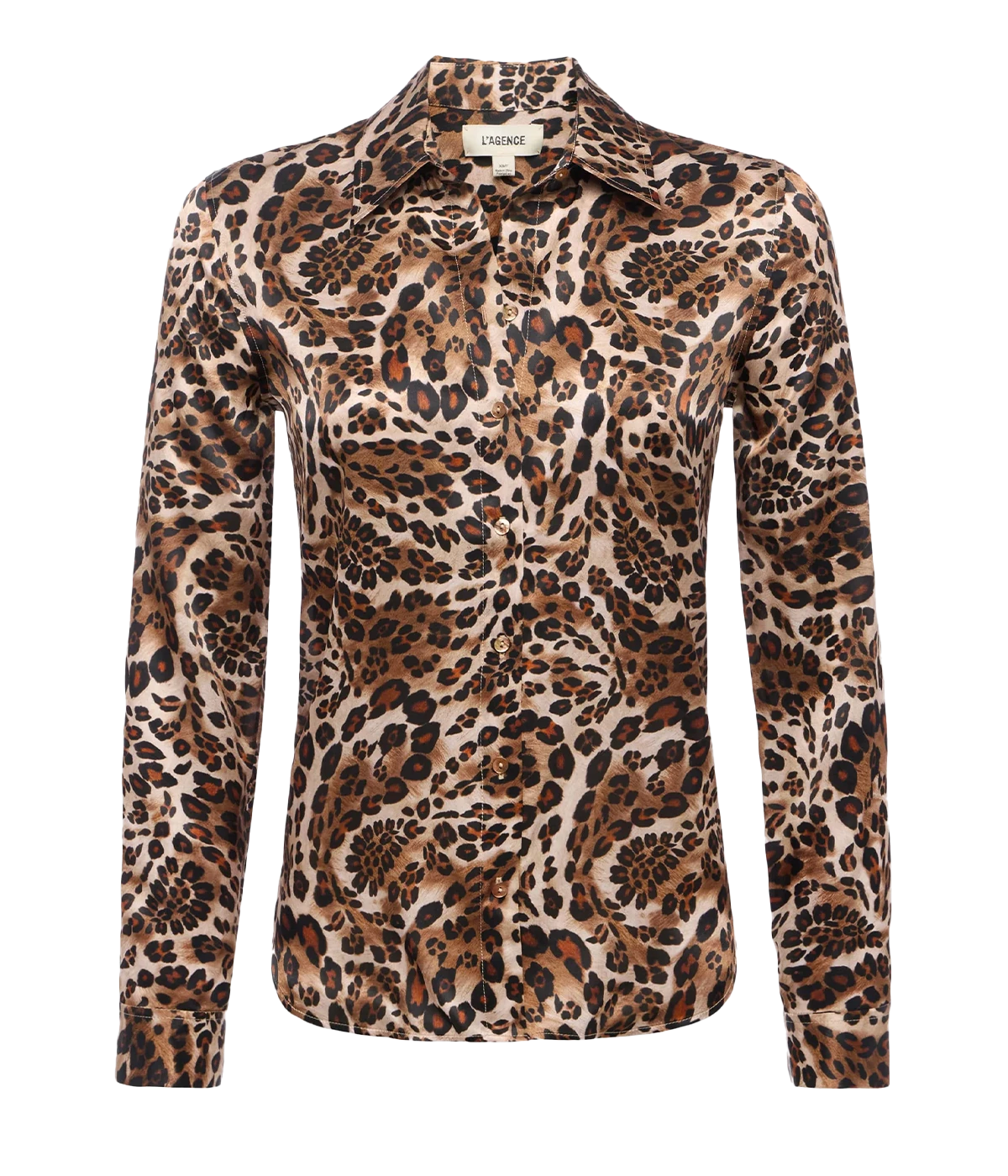 Tyler L/S Blouse in Cinnamon Swirl Paisley