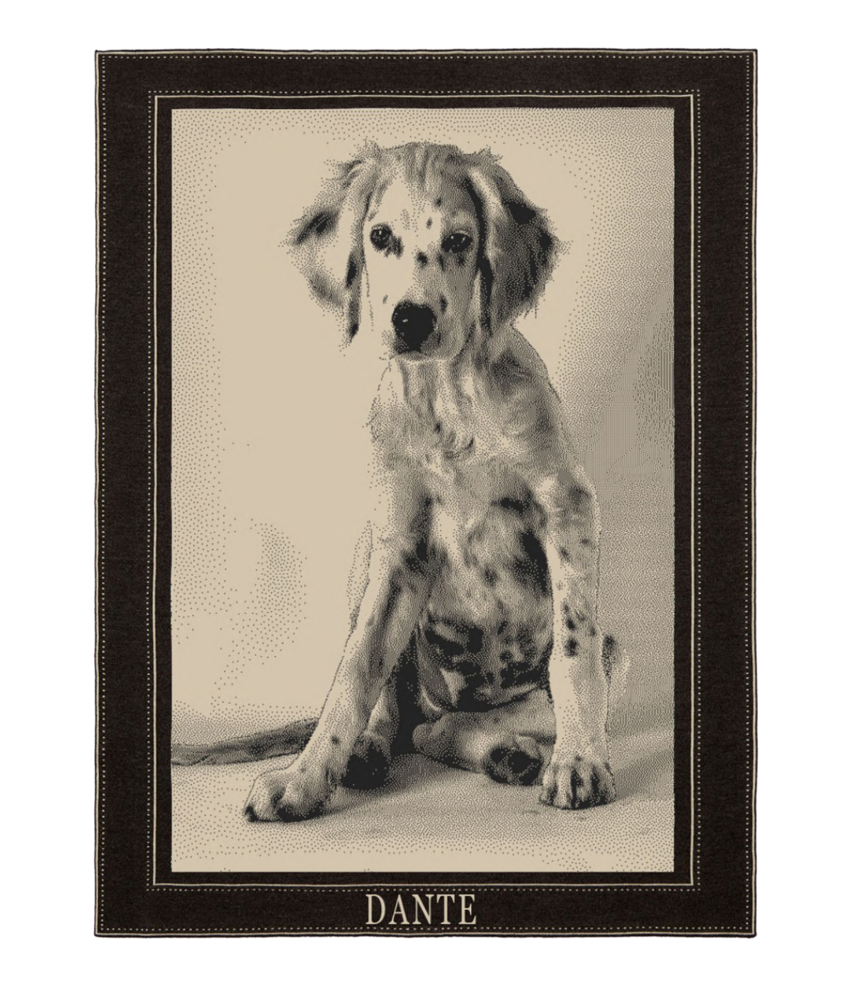 A custom pet portrait blanket featuring a sketch of a spotted dog named 'DANTE' in a dark brown frame