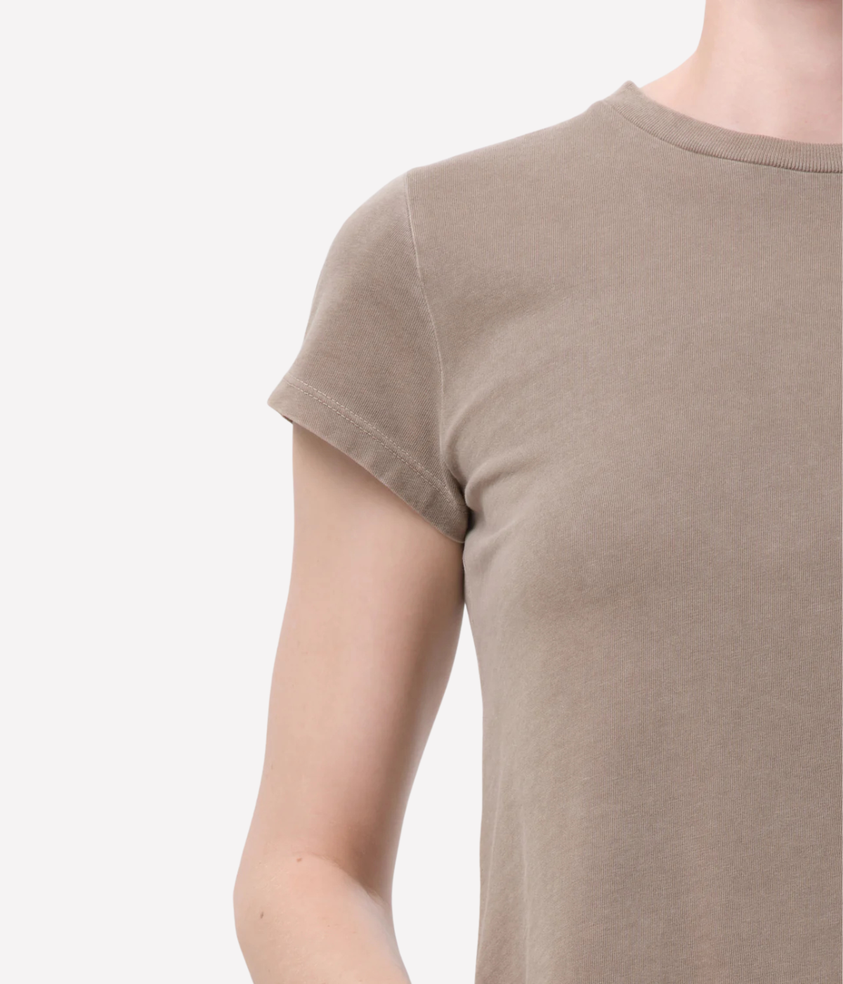 Adine Shrunken Tee in Trail