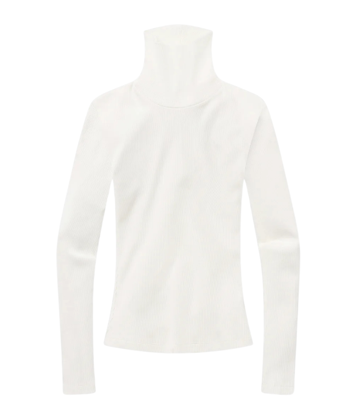 Caradene Turtleneck in Pashmina