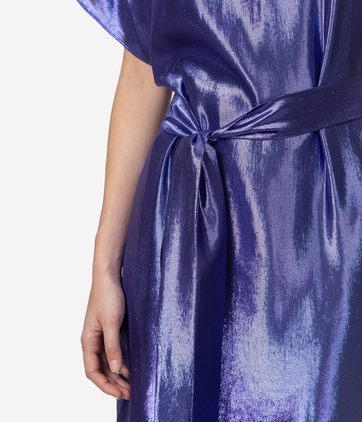 Goldaming Dress In Purple