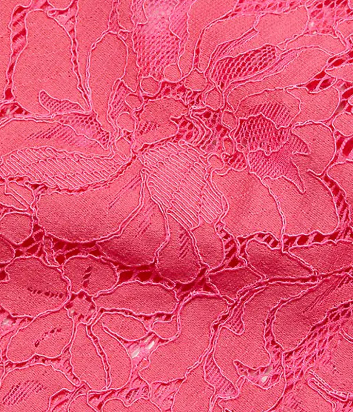 Jenica Lace Shirt in Rose