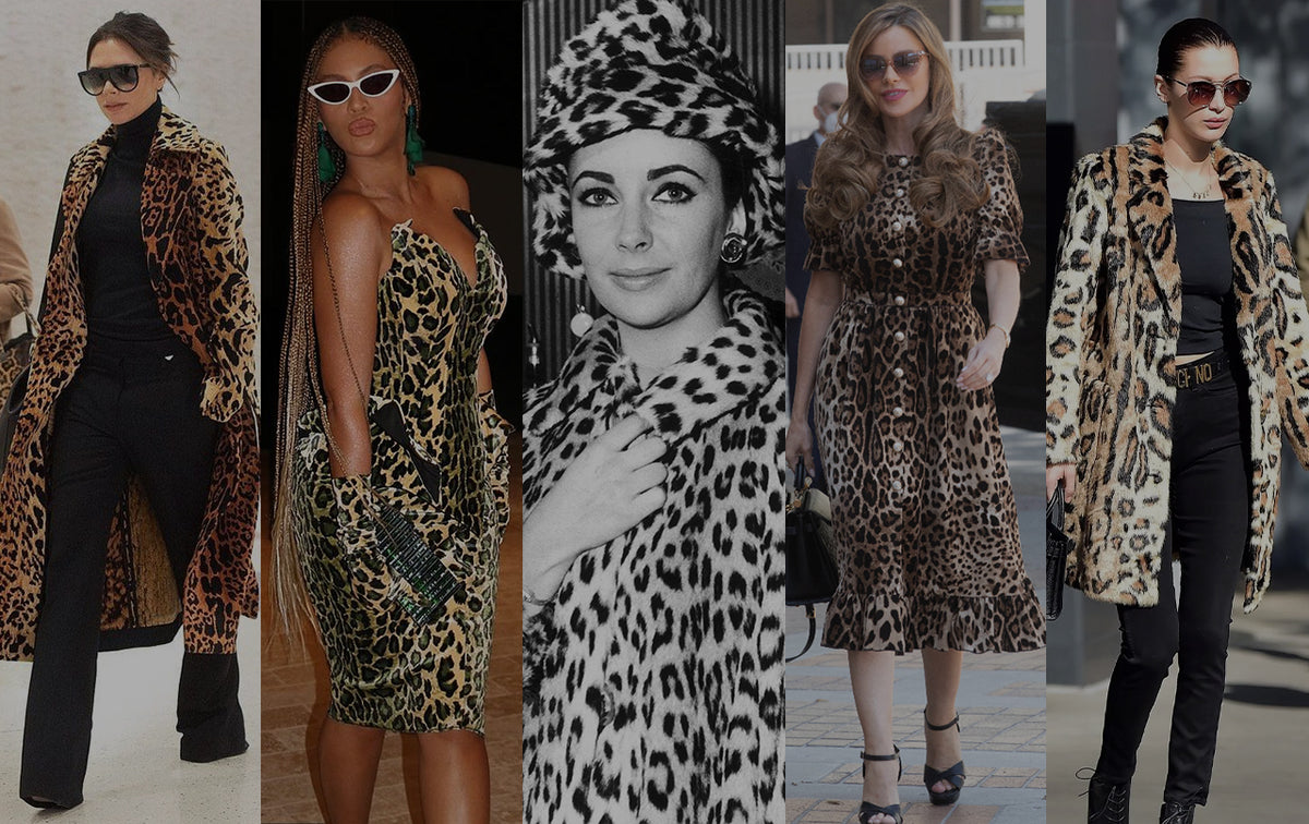 Leopard Rpiny The Everlasting Appeal of Leopard Print