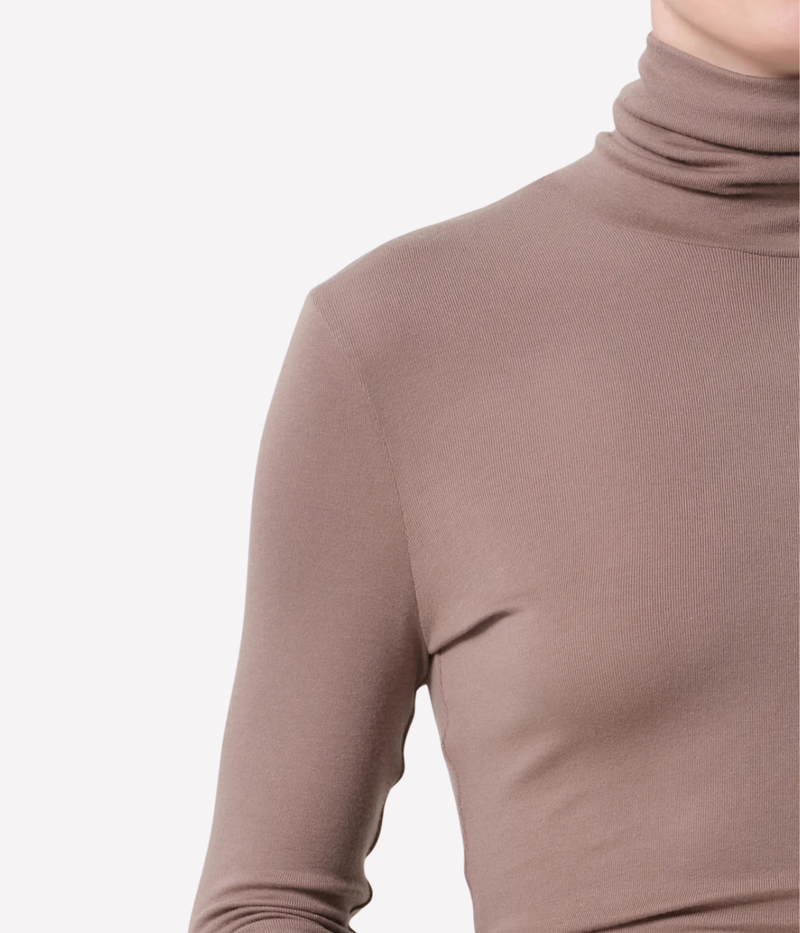 Caradene Turtleneck In Cocoa