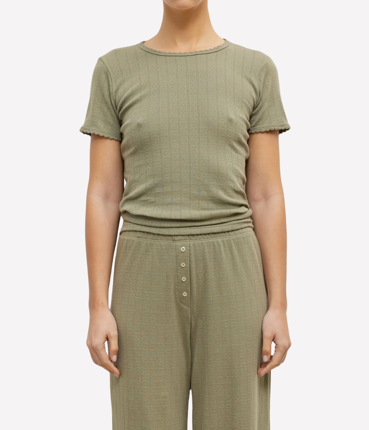 Pointelle Slim Fit Tee in Cypress