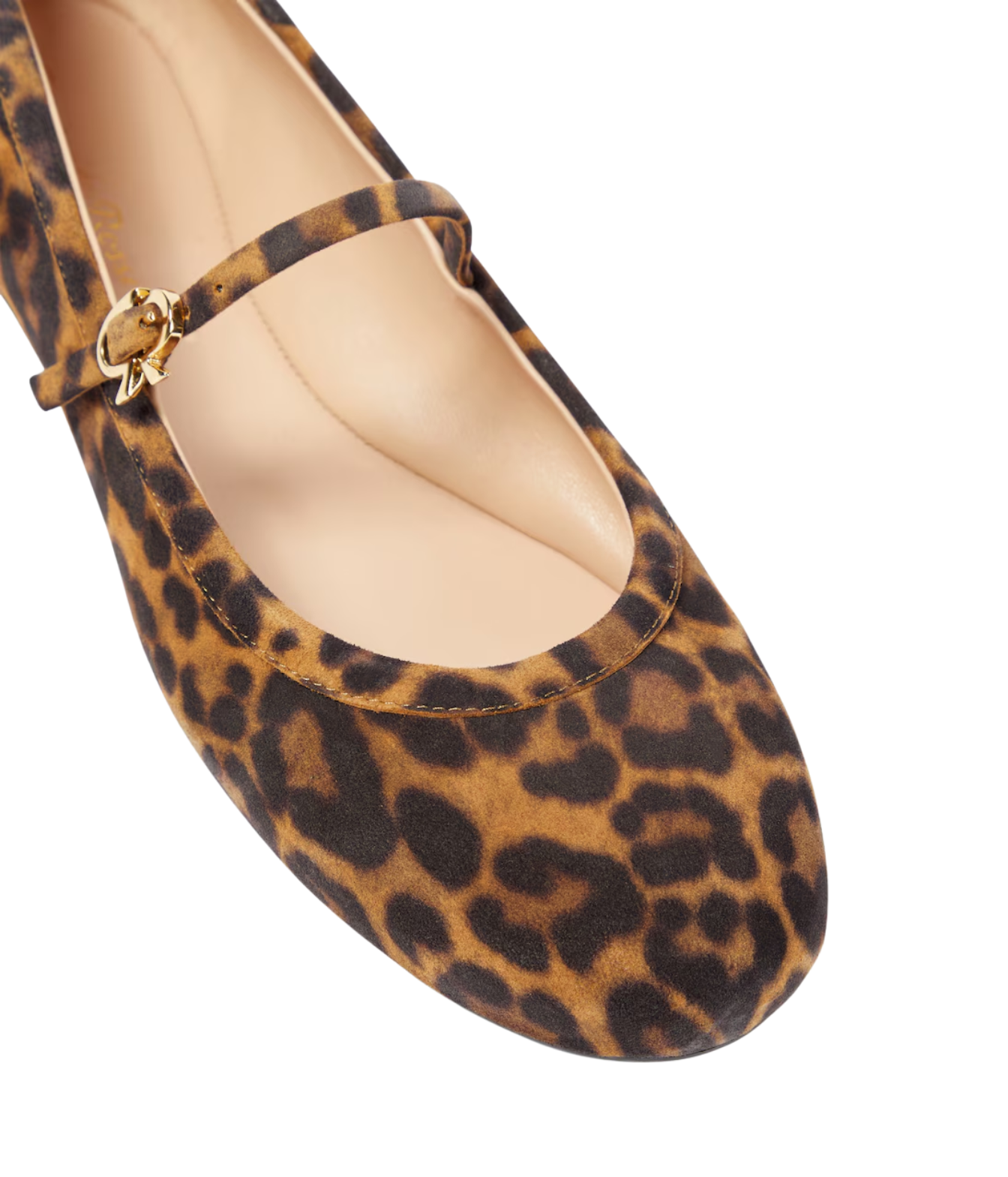 Carla Ballet Flat In Almond Leopard