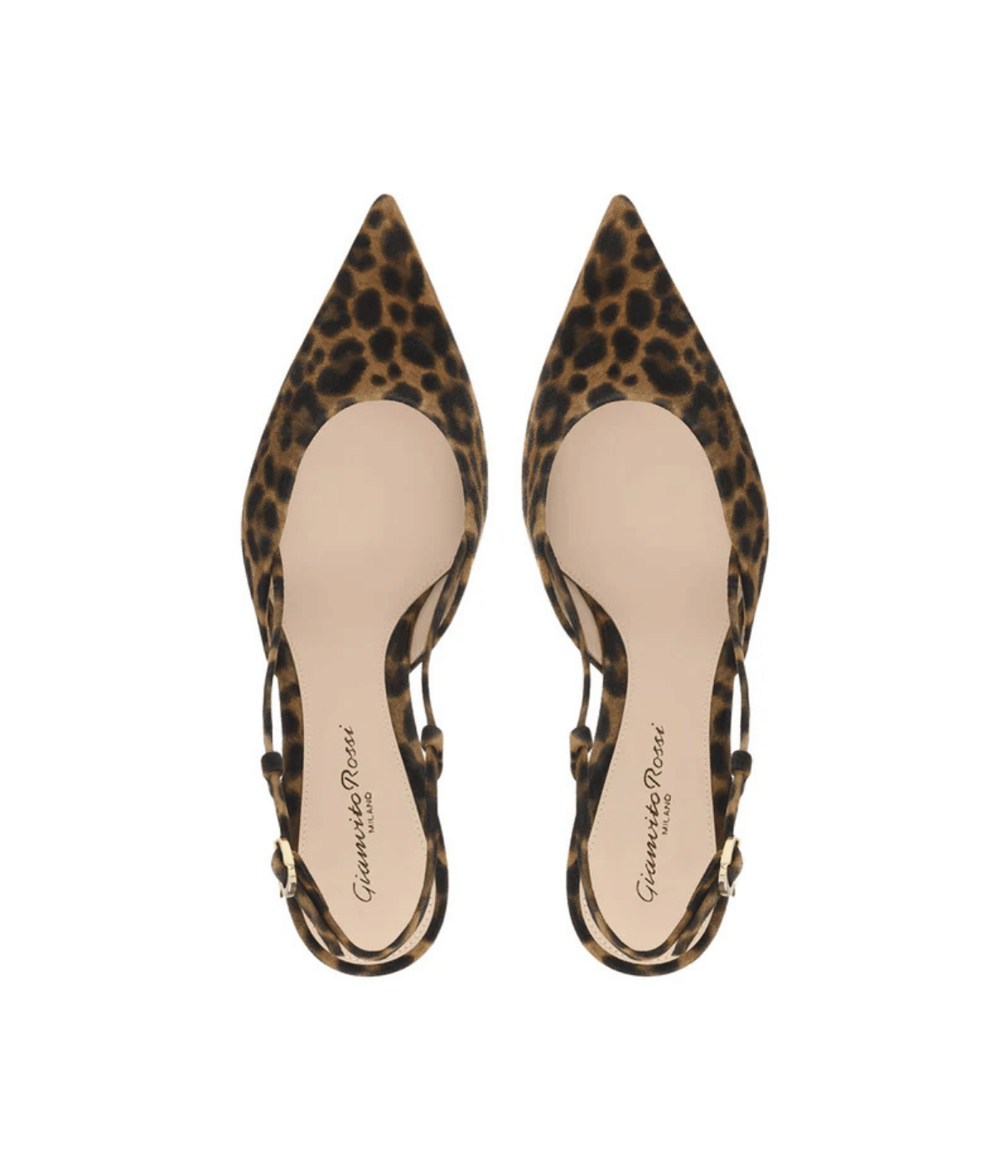 Ascent 55 in Almond Leopard