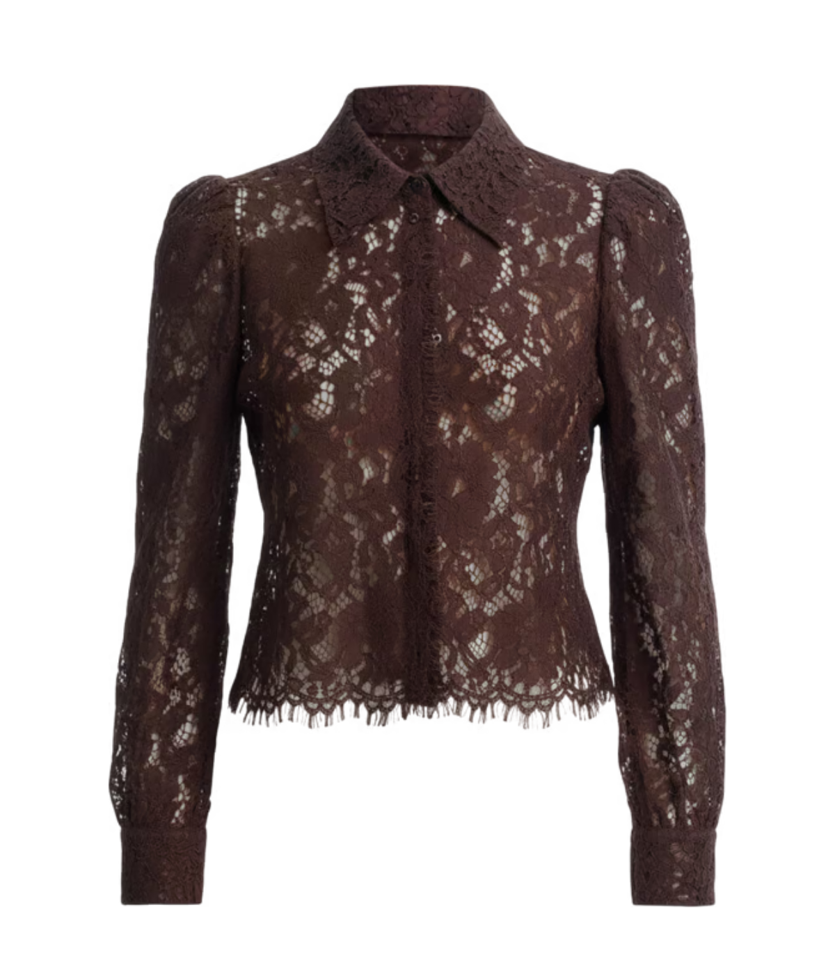 Anita Lace Button Up in Dark Brown