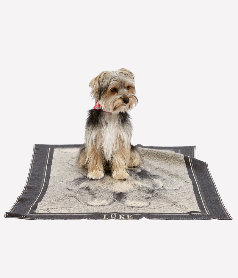 A small dog sits centered on a rectangular custom pet blanket with a grey and beige colourway
