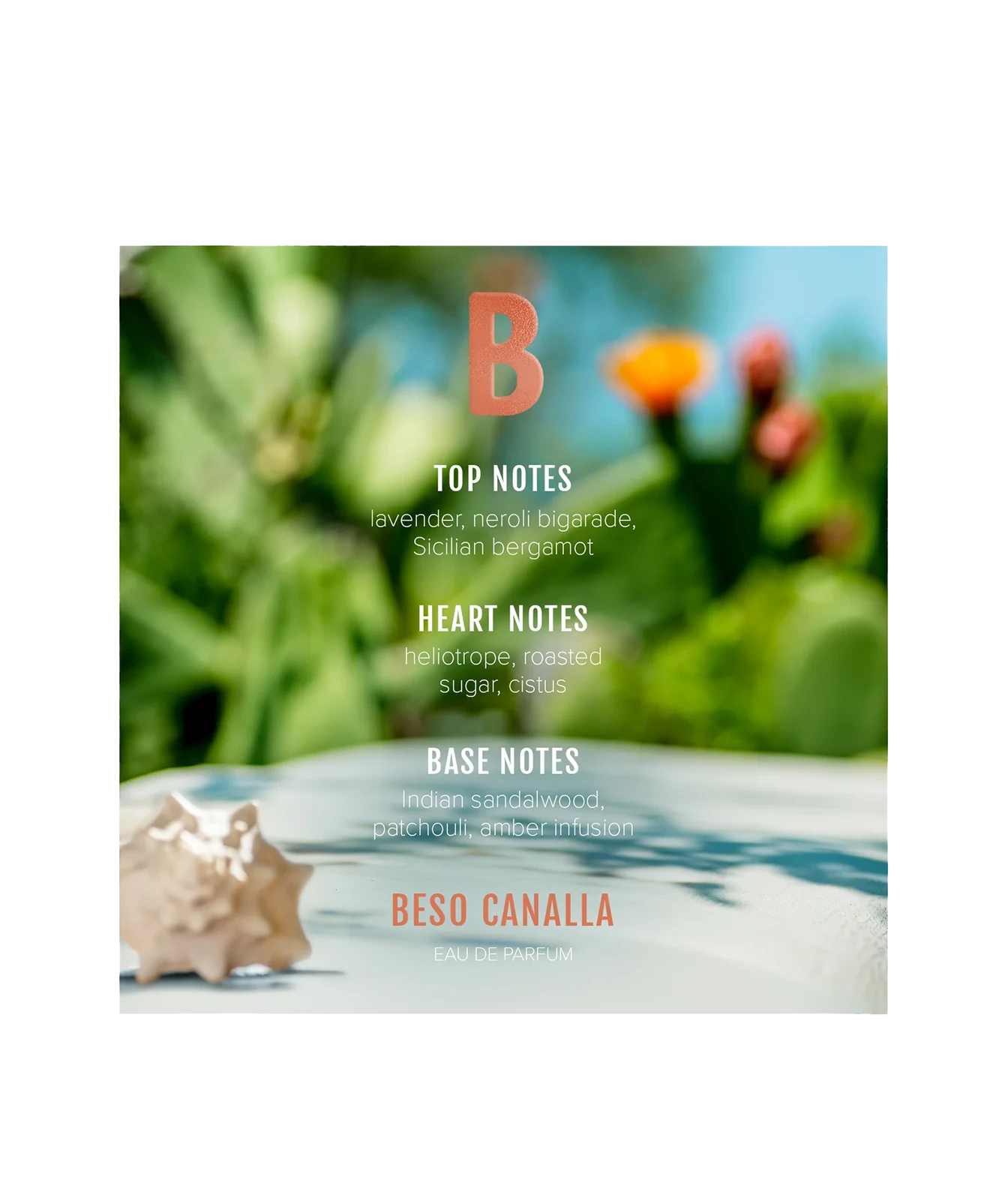 A square fragrance note card for Beso Canalla Eau de Parfum, featuring a blurred green garden background with a white surface in the foreground and a small seashell prop. The card displays the letter 'B' and lists the top, heart, and base notes of the fragrance in white and coral text.