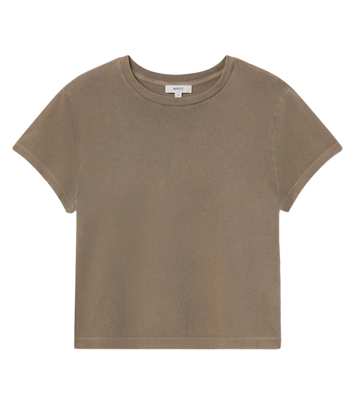 Adine Shrunken Tee in Trail