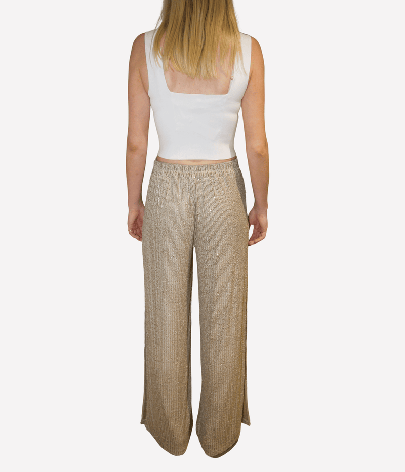 Hari Sequin Pant in Pietra