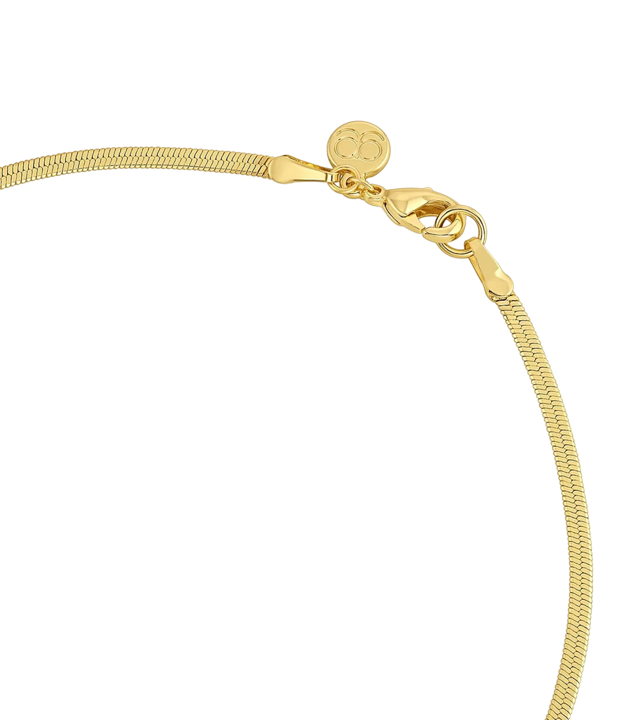 Close-up of the Gorjana Venice Mini Necklace in Yellow Gold showing the flat herringbone chain and the clasp with a round logo tag