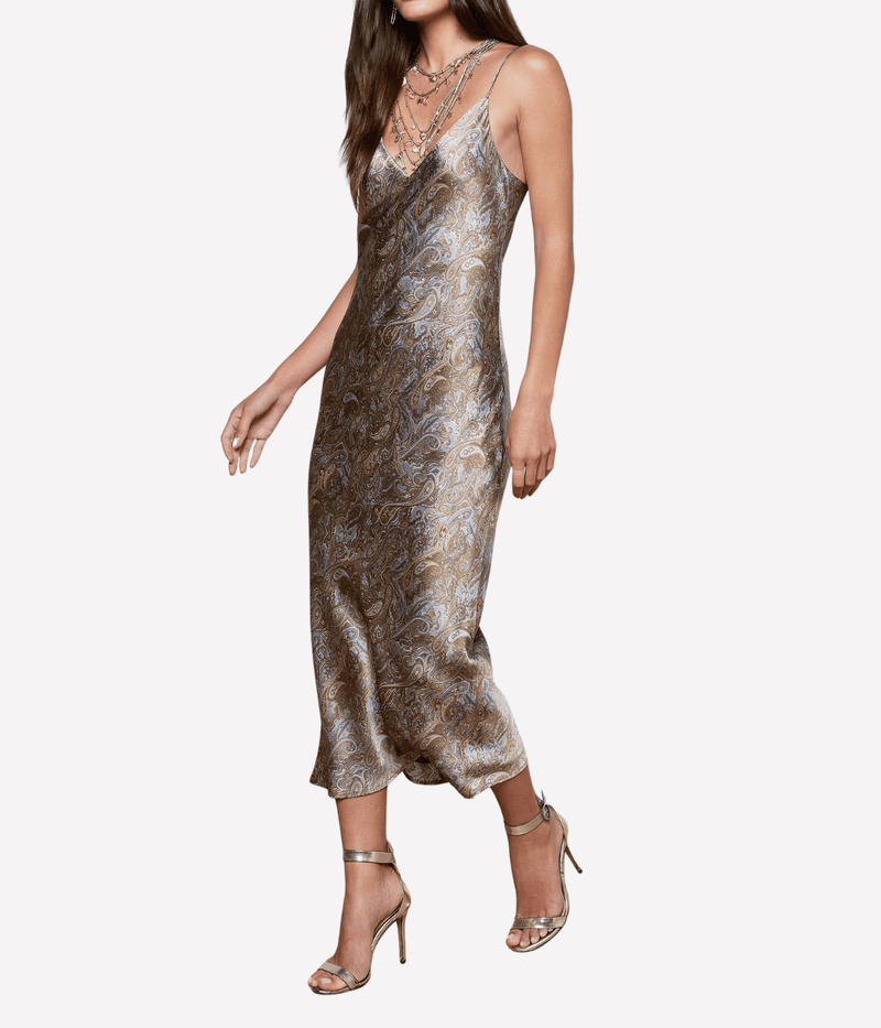 Seridie Midi Dress in Neutral Blue Paisley