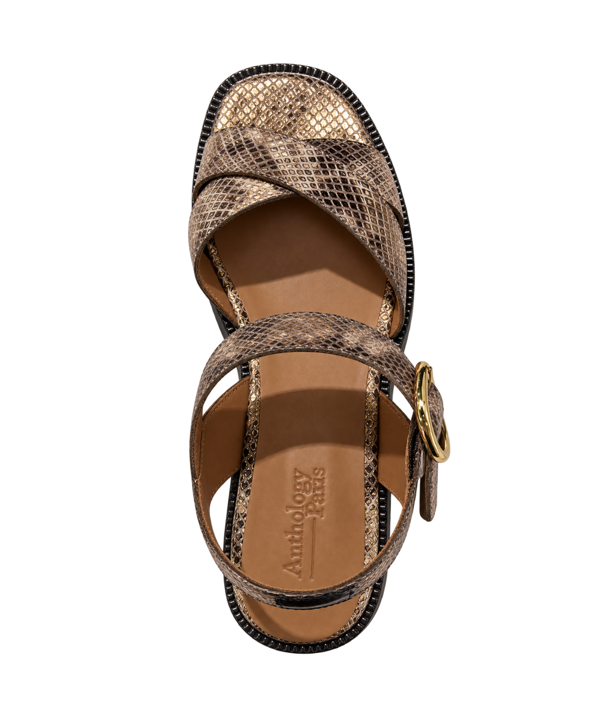 A single women's flat sandal with a metallic gold and brown snakeskin pattern, featuring a square toe, double criss-cross straps, an ankle strap with a gold-tone buckle. Anthology Paris Reims Sandal in Zadar Z4030