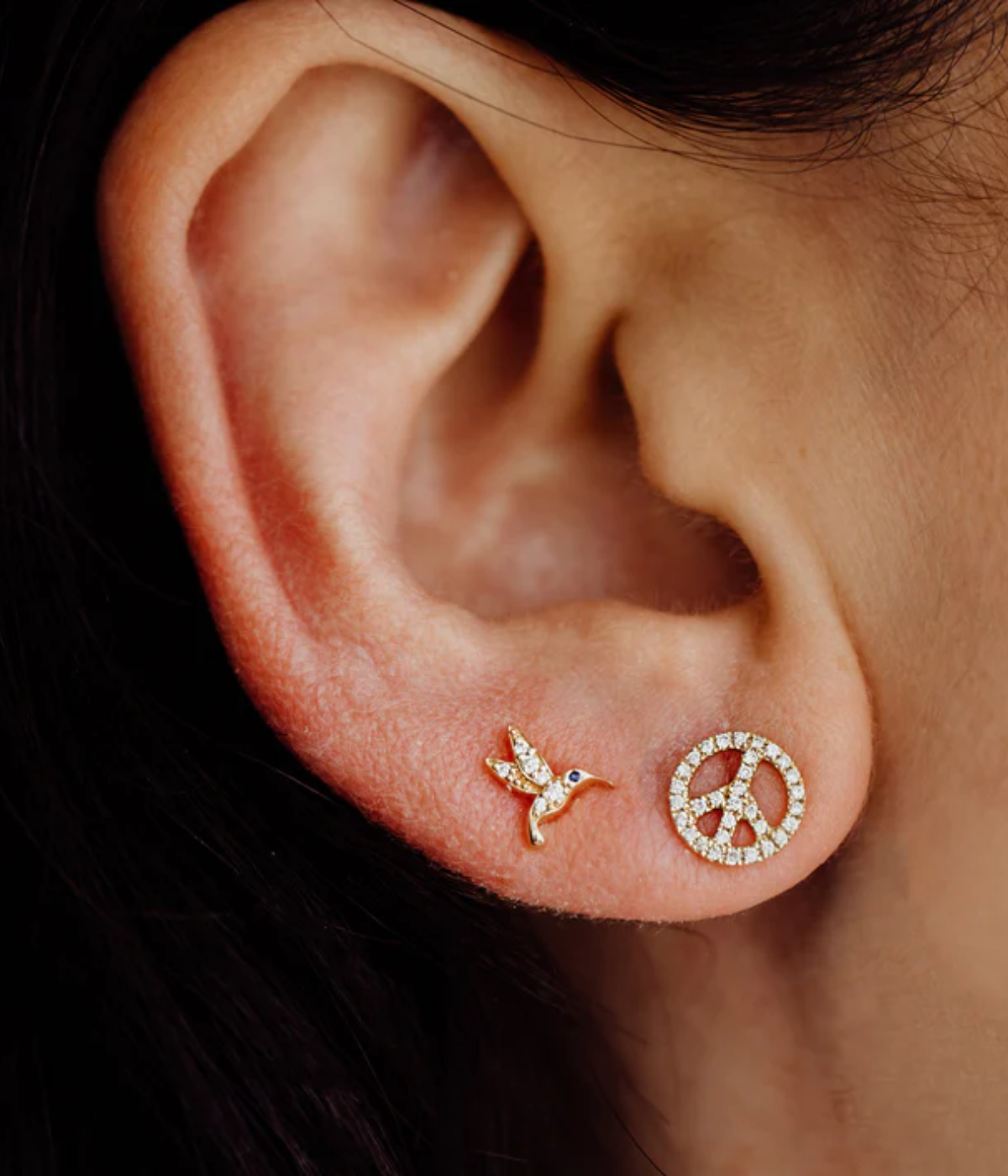Hummingbird Studs in 14k Yellow Gold