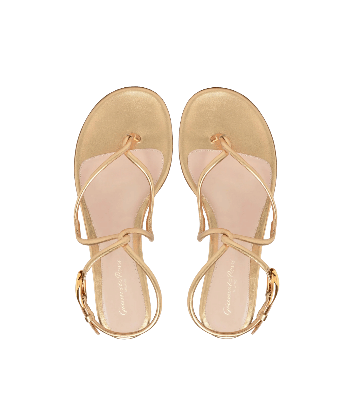 Jungle Mamba Flat in Mekong