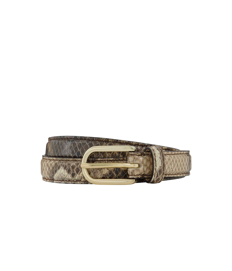 Monroe Belt in Brown