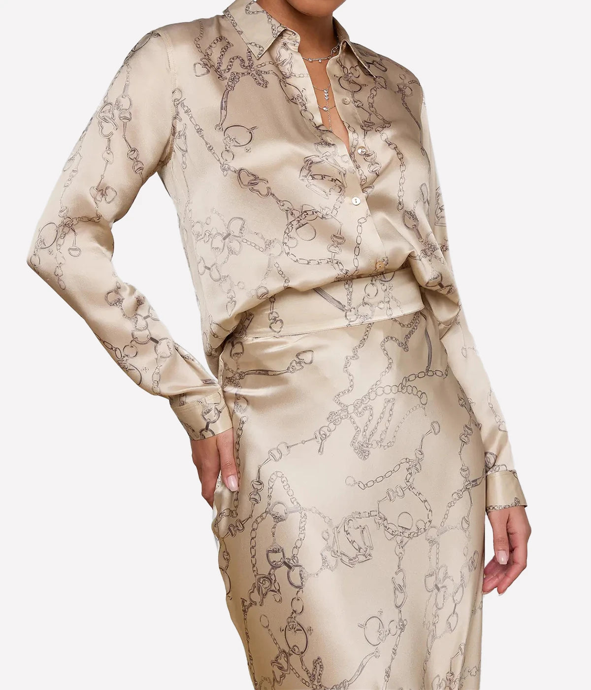 Tyler Long Sleeve Blouse In Soft Macadamia Chain Print