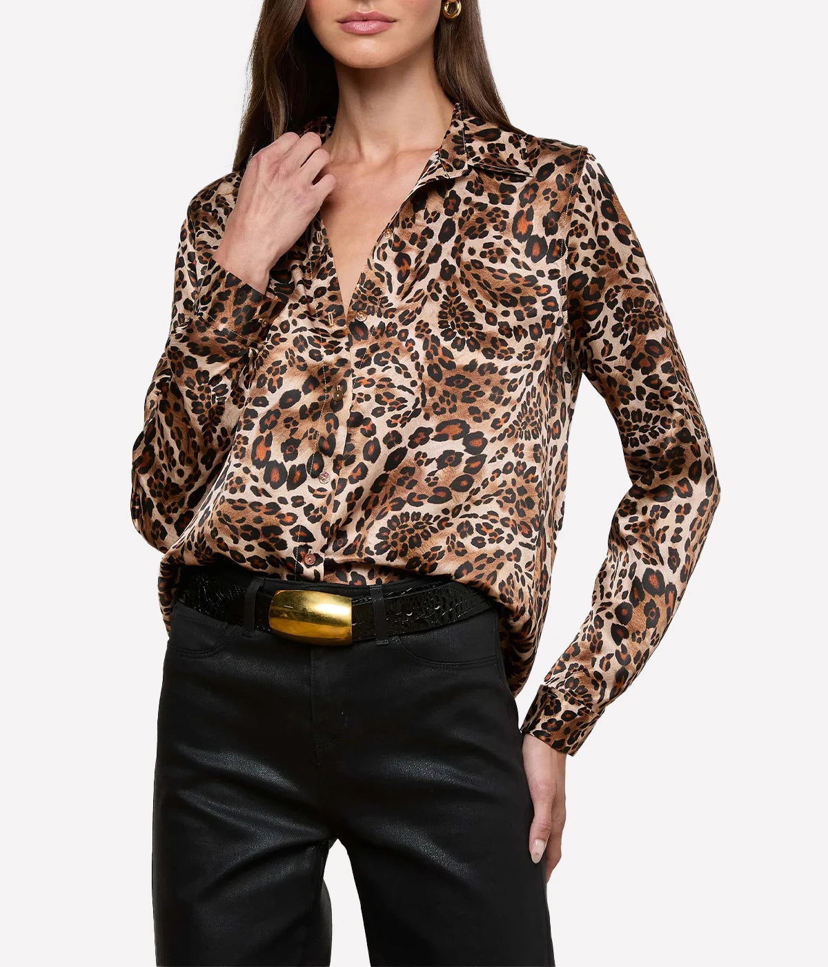 Tyler L/S Blouse in Cinnamon Swirl Paisley