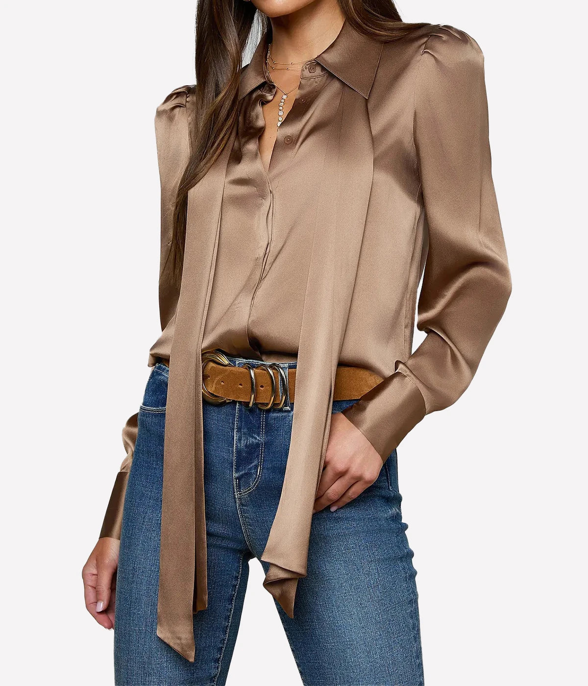 Honey Tie Neck Blouse In Portabella