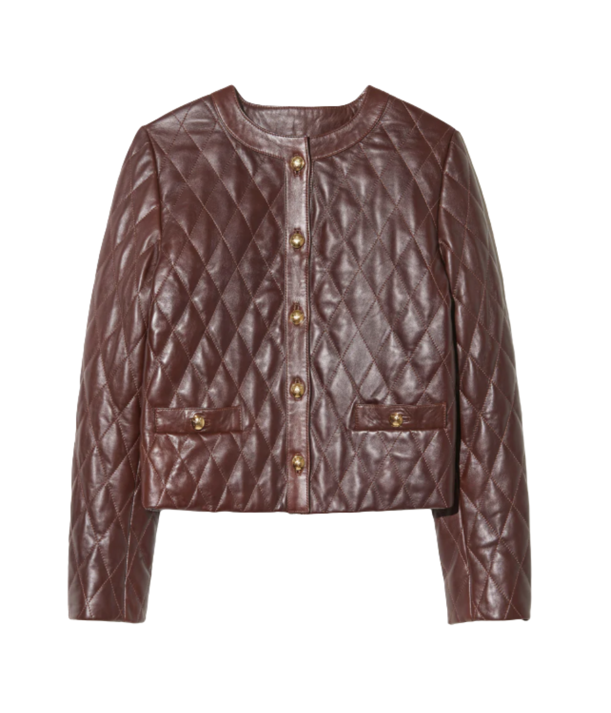 Amy Leather Jacket in BORDEAUX