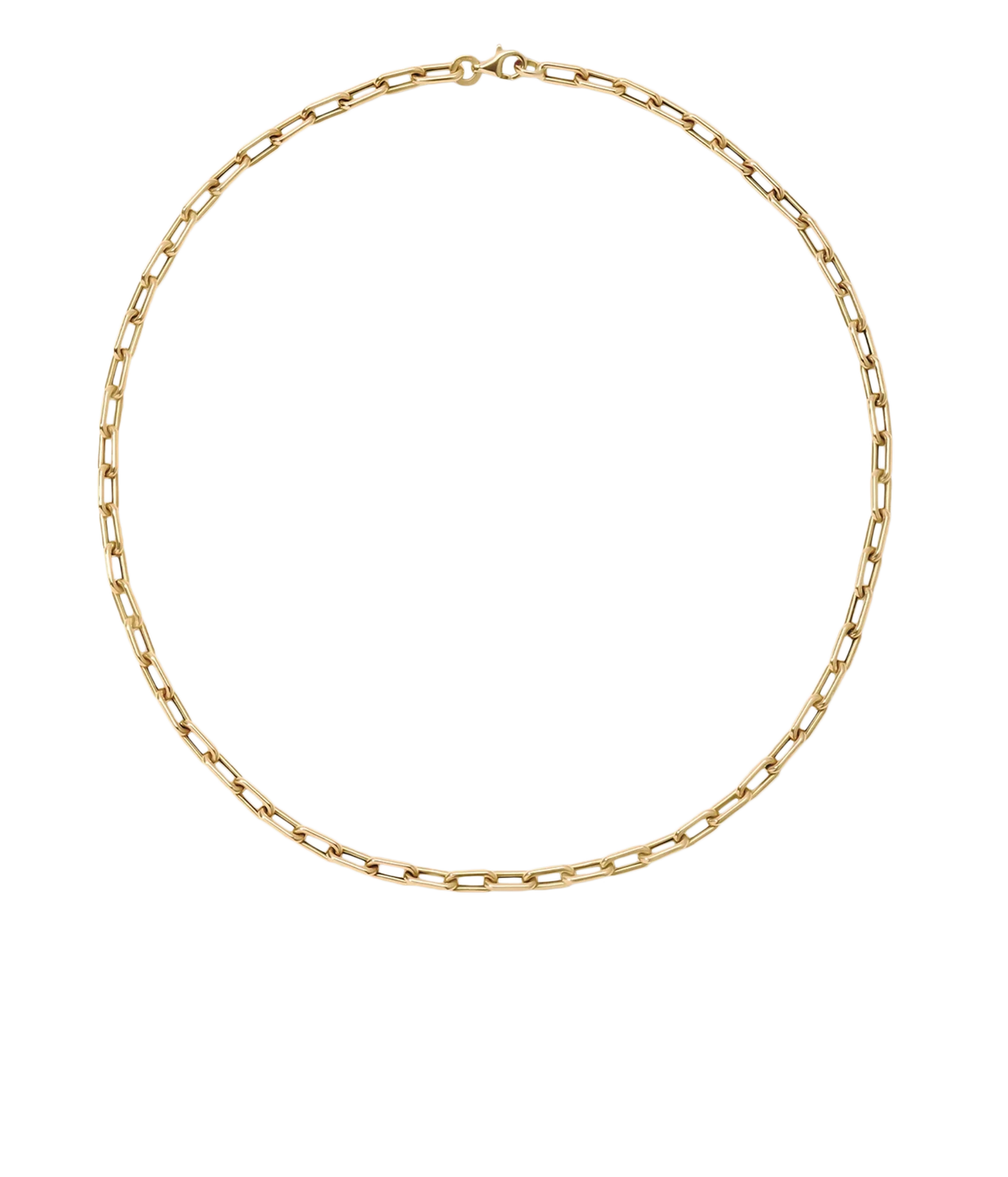 Adina Reyter 4mm Wide 18" Italian Chain Link Necklace in 14K Yellow Gold laid flat in a circle