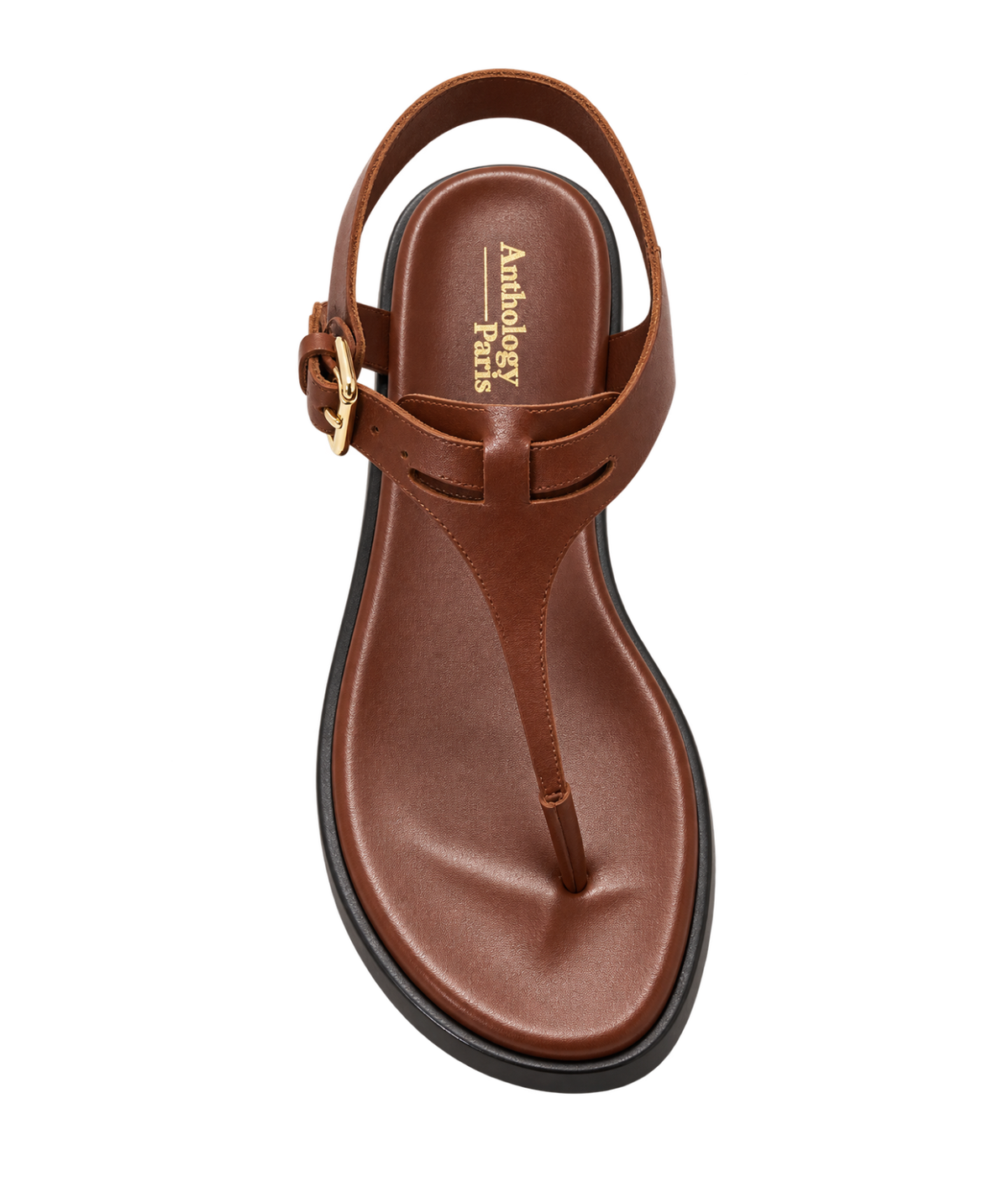 A single brown leather T-strap sandal with a buckle strap and a black sole, shown from a top-down view - Anthology Paris Madere Sandal in Tan