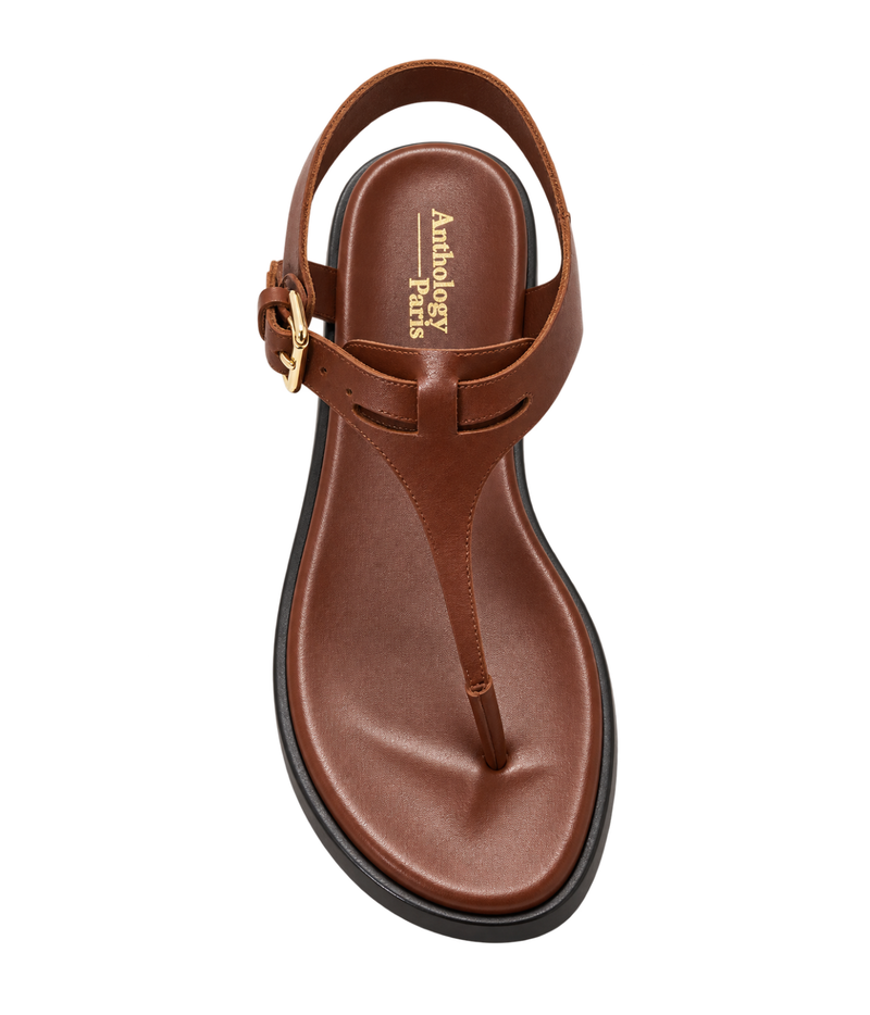 A single brown leather T-strap sandal with a buckle strap and a black sole, shown from a top-down view - Anthology Paris Madere Sandal in Tan