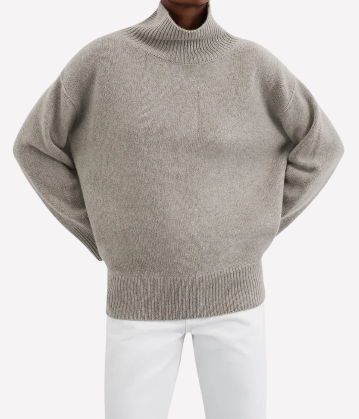 Boyfriend Turtle Neck in Greige