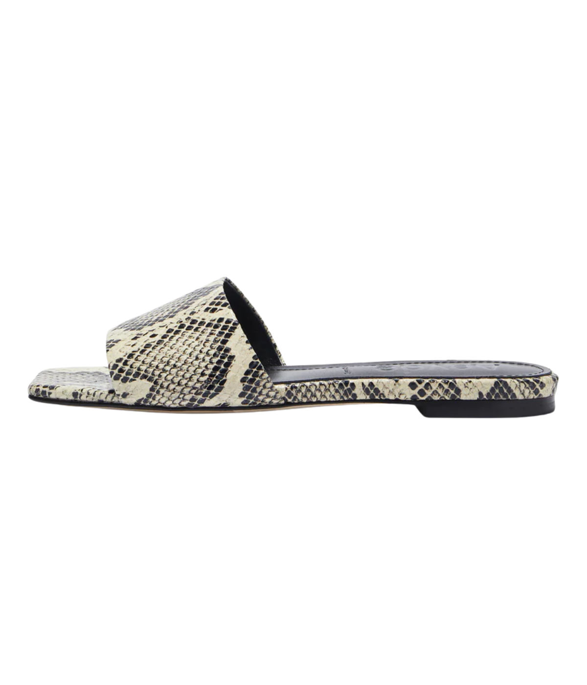 Anna Flat in CREAMY