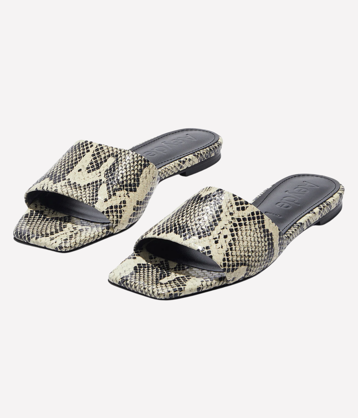 Anna Flat in CREAMY