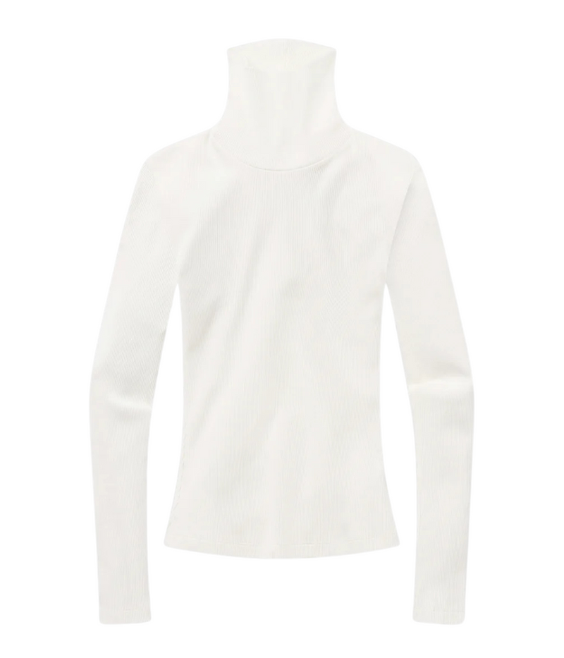 Caradene Turtleneck In Pashmina
