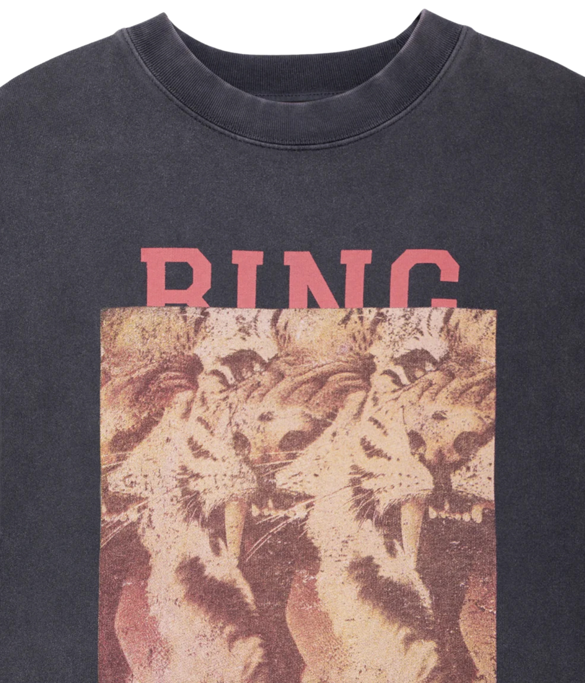 Close-up of a dark charcoal gray crewneck sweatshirt featuring a graphic print of three roaring lions beneath the word 'BING' in pink block letters.