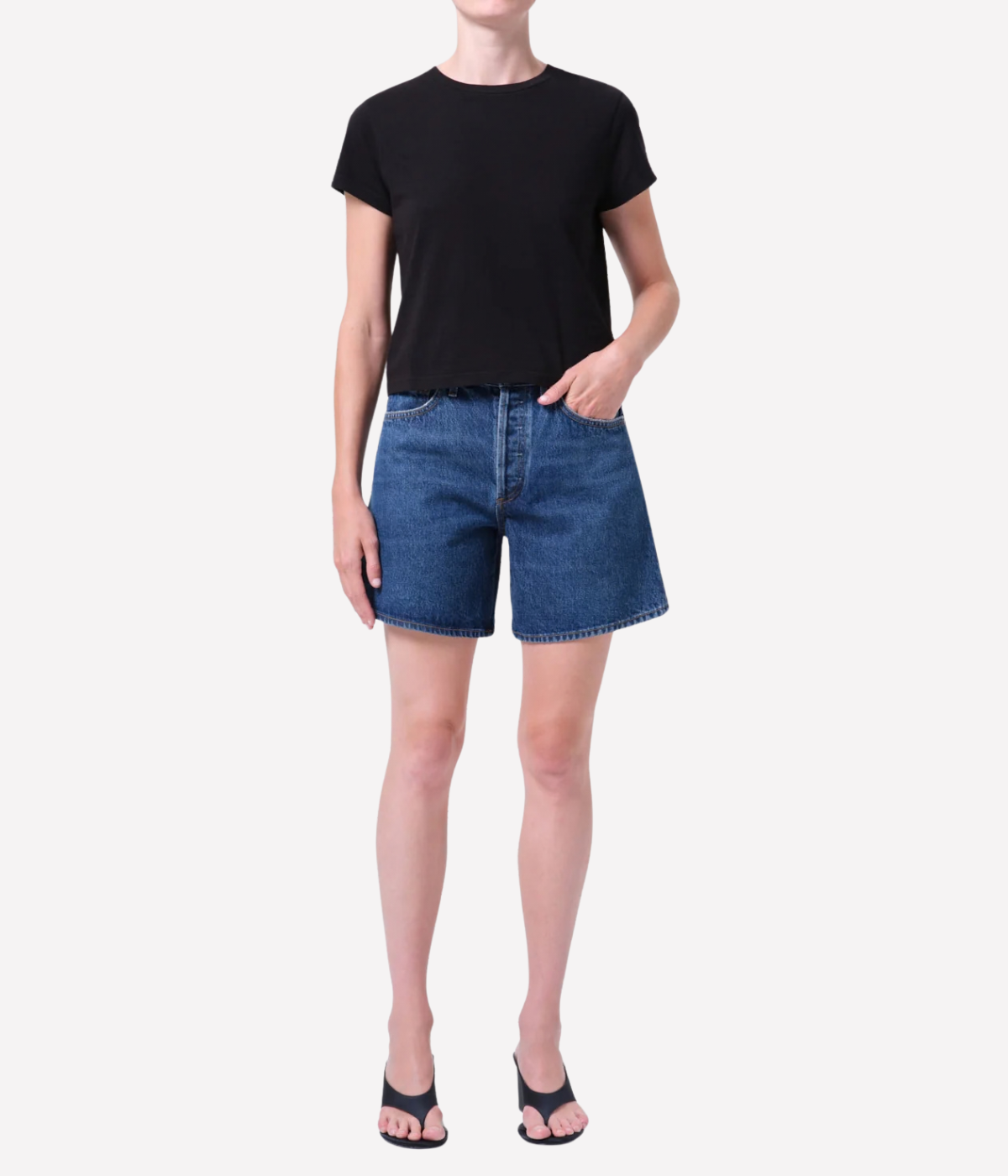 Dame Short in Enamour