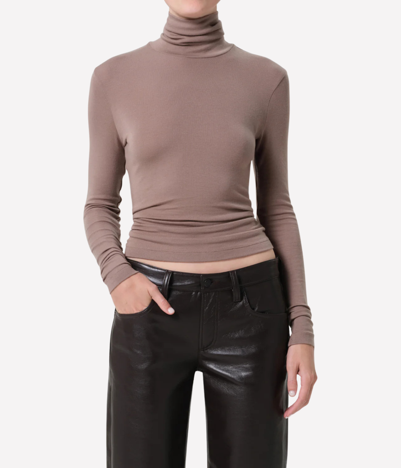 Caradene Turtleneck In Cocoa