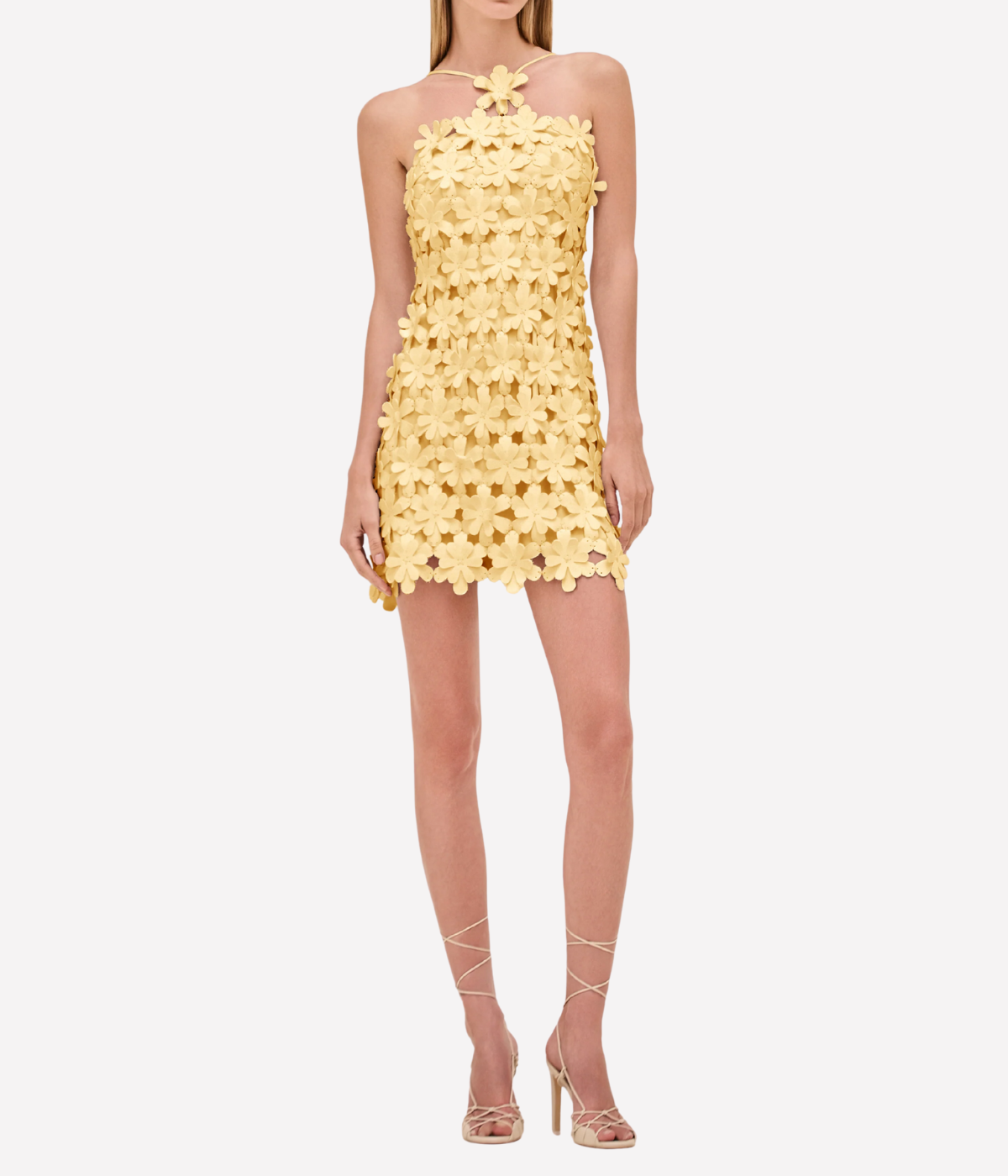 Lily Dress in Lemon