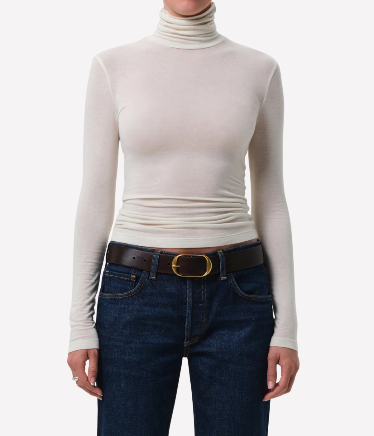 Caradene Turtleneck in Pashmina