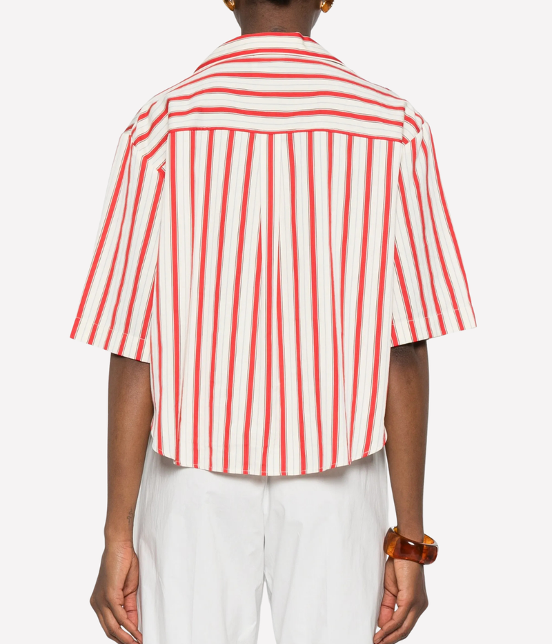 Contemporary Cotton Pinstriped Half Sleeves Shirt in Rouge